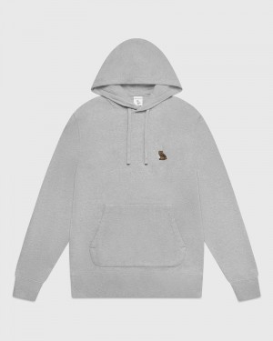 Heather Grey OVO Classic Hoodie Sweaters | GN35-U6BT