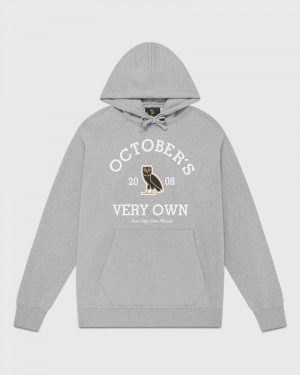 Heather Grey OVO Collegiate Hoodie Sweaters | WA70-O2RT