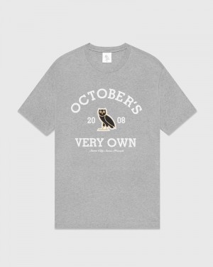 Heather Grey OVO Collegiate T-Shirt T-Shirts | XX30-H7CM