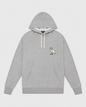 Heather Grey OVO Mini OG Plush Hoodie Sweaters | YP21-M4XI