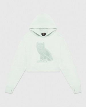 Mercury OVO OG Hoodie Sweaters | OU38-P2CN