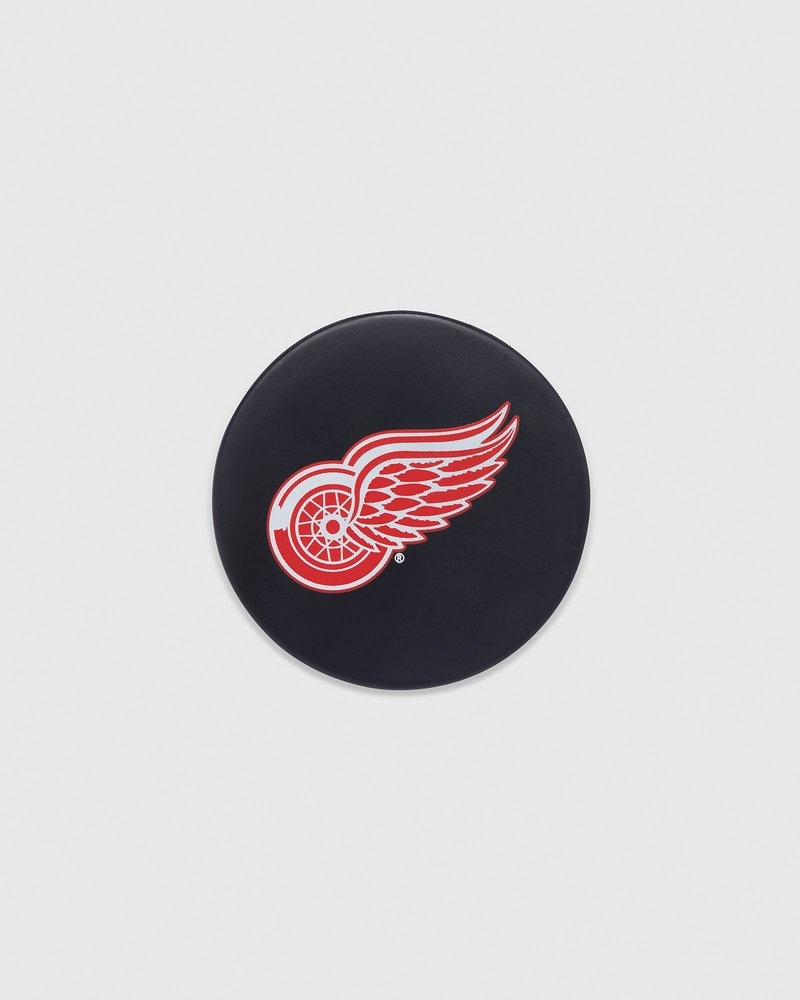 Black OVO Detroit Red Wings Hockey Puck Accessories | PS91-W2RL